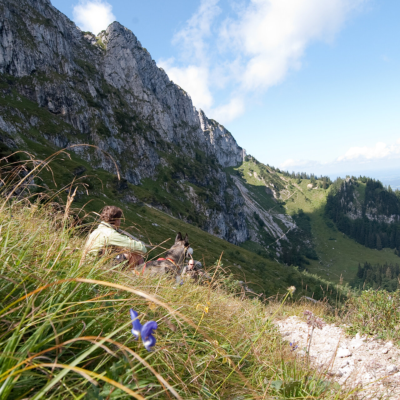 Mann sitzt am Berg mit Hund
